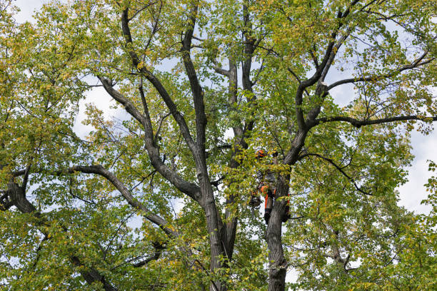  Poseyville, IN Tree Care Pros